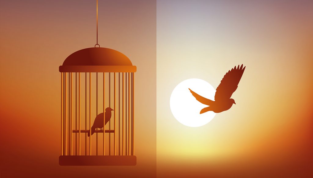 Split image of a bird in a cage and another flying free against a sunset, symbolizing digital freedom and restrictions.